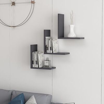 Hanah Home Hanah Hem snygg vägghylla, antracit, 30 x 16 x 11 cm 100% melaminbelagd partikelbräda, 18 mm tjock mångsidig design med flera hyllor, rymdbesparingslösning Hanah Home Hanah Hem snygg vägghylla, antracit, 30 x 16 x 11 cm 100% melaminbelagd partikelbräda, 18 mm tjock mångsidig design med flera hyllor, rymdbesparingslösning