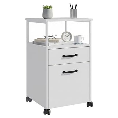 Relaxdays Rullbehållare, 2 lådor, hängande register, modern design, HBT: 66,5 x 42 x 44 cm, arkivskåp smalt, vitt Relaxdays Rullbehållare, 2 lådor, hängande register, modern design, HBT: 66,5 x 42 x 44 cm, arkivskåp smalt, vitt