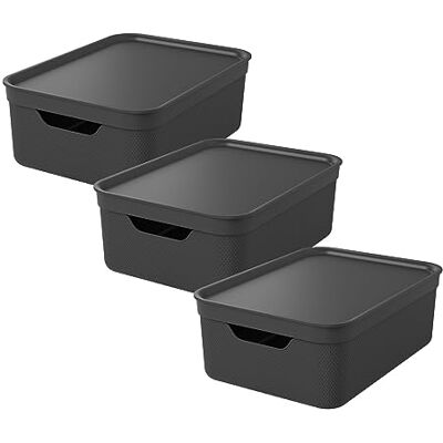 Rotho Jive Uppsättning av 3 förvaringslådor 10 l med lock, plast, antracit Rotho Jive Uppsättning av 3 förvaringslådor 10 l med lock, plast, antracit