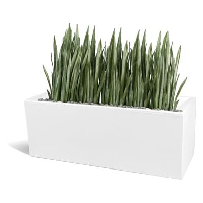 Kloris Portavaso Förvaringslåda Rektangulär Polyeten 60 x 30 h 30 cm Djup 17 cm Vit Tillverkad i Italien Kloris Portavaso Förvaringslåda Rektangulär Polyeten 60 x 30 h 30 cm Djup 17 cm Vit Tillverkad i Italien