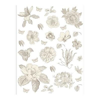 AG Design Grafiska blommor i kök, vardagsrum, kontor, sovrum väggklistermärken, väggtatuering, dekaler av AG-design 65 x 85 cm SSA 4204 AG Design Grafiska blommor i kök, vardagsrum, kontor, sovrum väggklistermärken, väggtatuering, dekaler av AG-design 65 x 85 cm SSA 4204