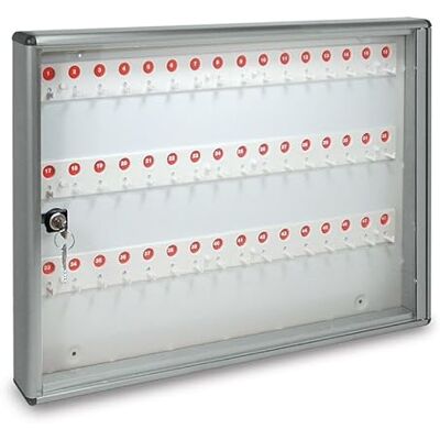 CASSETTE POSTALI ALUBOX Alubox 1007636 Bc48 anslagstavla 48 nycklar, Silver Met CASSETTE POSTALI ALUBOX Alubox 1007636 Bc48 anslagstavla 48 nycklar, Silver Met