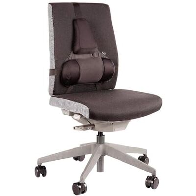Fellowes Professional Series Ultimate Back Support Fellowes Professional Series Ultimate Back Support