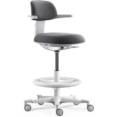 hjh OFFICE Ergonomisk Arbetsstol Top Work 40 W – Stol Med Höjdjusterbart Ryggstöd, Justerbar Sitslutning Och Sittdjup, Höjdjusterbar Fotring, Grå/Vit hjh OFFICE Ergonomisk Arbetsstol Top Work 40 W – Stol Med Höjdjusterbart Ryggstöd, Justerbar Sitslutning Och Sittdjup, Höjdjusterbar Fotring, Grå/Vit