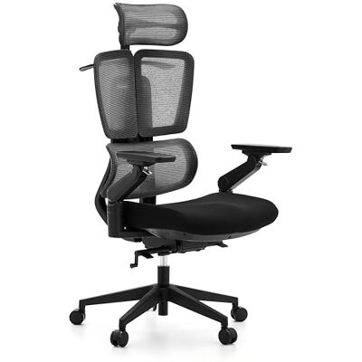 hjh OFFICE Ergo U2 Flex3 kontorsstol – Professionell snurrstol med andningsbart nätryggstöd och robust sits – höjdjusterbart svankstöd – svart hjh OFFICE Ergo U2 Flex3 kontorsstol – Professionell snurrstol med andningsbart nätryggstöd och robust sits – höjdjusterbart svankstöd – svart