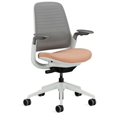 Steelcase Ergonomisk kontorsstol: Series 1, ländryggsstöd, fiske Levereras monterad, universalhjul, premiummaterial, upp till 150 kg och 190 cm, sittkomfort. Steelcase Ergonomisk kontorsstol: Series 1, ländryggsstöd, fiske Levereras monterad, universalhjul, premiummaterial, upp till 150 kg och 190 cm, sittkomfort.