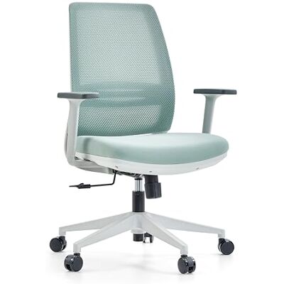 hjh OFFICE Ergonomisk PROFONDO ECO W kontorsstol, andningsbar snurrstol med justerbart svankstöd i nät/tyg, mintgrön hjh OFFICE Ergonomisk PROFONDO ECO W kontorsstol, andningsbar snurrstol med justerbart svankstöd i nät/tyg, mintgrön