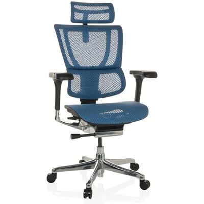 hjh OFFICE kontorsstol ERGOHUMAN Slim I nät ergonomisk kontorsstol med flexibelt ländryggsstöd, blå, 652291 hjh OFFICE kontorsstol ERGOHUMAN Slim I nät ergonomisk kontorsstol med flexibelt ländryggsstöd, blå, 652291