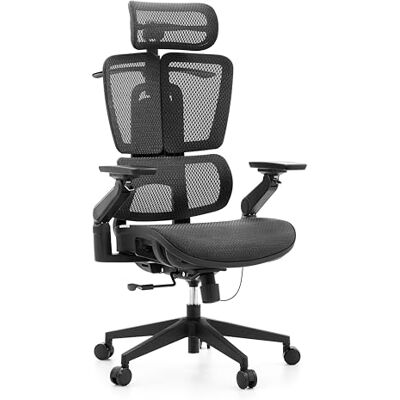 hjh OFFICE Ergo U2 Pro3 kontorsstol – Professionell snurrstol med nylonnät – höjdjusterbart svankstöd – steglös sittdjupsjustering – 6D armstöd – svart hjh OFFICE Ergo U2 Pro3 kontorsstol – Professionell snurrstol med nylonnät – höjdjusterbart svankstöd – steglös sittdjupsjustering – 6D armstöd – svart