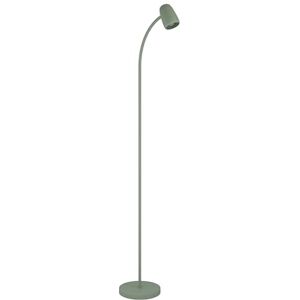 EGLO Carlo Golvlampa, vardagsrumslampa med flexibel arm, svängbar lampa av grön metall, läslampa med E14-sockel, höjd 170 cm EGLO Carlo Golvlampa, vardagsrumslampa med flexibel arm, svängbar lampa av grön metall, läslampa med E14-sockel, höjd 170 cm