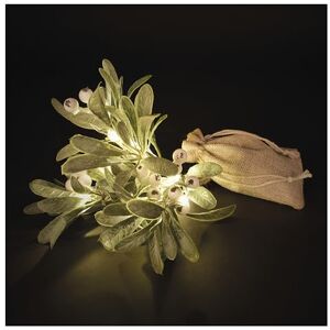 EMOS – LED-mistelkvist – mistelbuske med 14 lysdioder, varmvit – 6/18 h timer, batteridriven (2 x AA), 0,25 m kabellängd, inkl. jutesäck – livslängd 10 000 timmar – för inomhusbruk – grön/vit EMOS – LED-mistelkvist – mistelbuske med 14 lysdioder, varmvit – 6/18 h timer, batteridriven (2 x AA), 0,25 m kabellängd, inkl. jutesäck – livslängd 10 000 timmar – för inomhusbruk – grön/vit