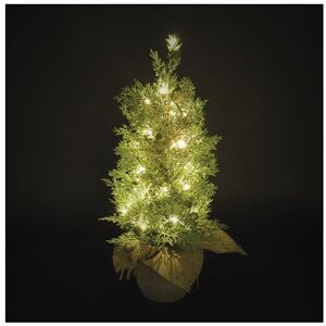 EMOS – Konstgjort LED-cypresträd 50 cm – cypress i kruka, 30 lysdioder, varmvit – 6/18 h timer, batteridrift (3 x AA), kabellängd 0,15 m, inkl. jutesäck – 10 000 h, för inomhus- och utomhusbruk – grön EMOS – Konstgjort LED-cypresträd 50 cm – cypress i kruka, 30 lysdioder, varmvit – 6/18 h timer, batteridrift (3 x AA), kabellängd 0,15 m, inkl. jutesäck – 10 000 h, för inomhus- och utomhusbruk – grön