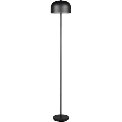 RL LIVE YOUR LIGHT Reality Leuchten Jeff R49151132 batteridriven golvlampa i metall matt svart med LED 2,5 W RL LIVE YOUR LIGHT Reality Leuchten Jeff R49151132 batteridriven golvlampa i metall matt svart med LED 2,5 W