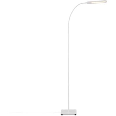 BRILONER – LED-golvlampa med touch, dimbar i steg, justerbar i varm vit och kallvit, lä, vardagsrum, taklampa, golvlampa, 20,8 x 20,8 x 183 cm, vit BRILONER – LED-golvlampa med touch, dimbar i steg, justerbar i varm vit och kallvit, lä, vardagsrum, taklampa, golvlampa, 20,8 x 20,8 x 183 cm, vit
