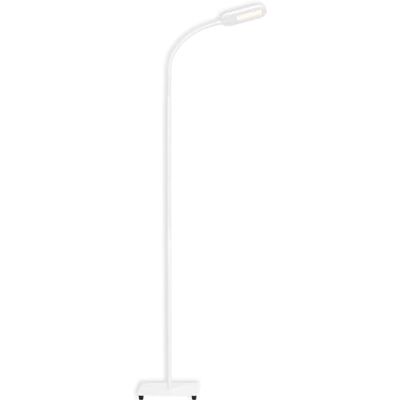 BRILONER Leuchten LED-golvlampa, dimbar, färgtemperaturkontroll, 8 watt, 600 lumen, vit, 8 W BRILONER Leuchten LED-golvlampa, dimbar, färgtemperaturkontroll, 8 watt, 600 lumen, vit, 8 W