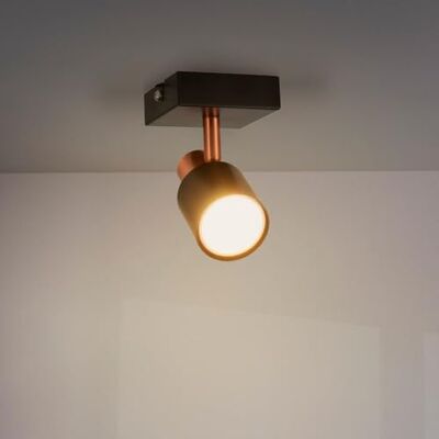 M Ledme Taklampa i guldserien 1 spotlight GU10, för torr inomhusbruk IP20, glödlampa ingår ej, lämplig för badrum, vardagsrum, sovrum och kök M Ledme Taklampa i guldserien 1 spotlight GU10, för torr inomhusbruk IP20, glödlampa ingår ej, lämplig för badrum, vardagsrum, sovrum och kök