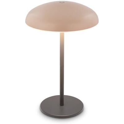 BRILONER – LED-bord trådlös IP44 med ljuskant, touchdimmer, batteri utbytbar, sänglampa, lä, LED-lampa, dekoration, bord, batterilampa, utomhus, 19,5 x 30,5 cm, beige, antracit BRILONER – LED-bord trådlös IP44 med ljuskant, touchdimmer, batteri utbytbar, sänglampa, lä, LED-lampa, dekoration, bord, batterilampa, utomhus, 19,5 x 30,5 cm, beige, antracit