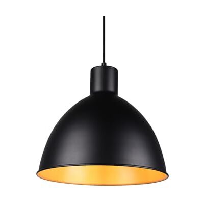 meineWunschleuchte Min önskade lampa, pendellampa i industriell look med metallampskärm, Ø 30 cm i svart matt och guld inuti meineWunschleuchte Min önskade lampa, pendellampa i industriell look med metallampskärm, Ø 30 cm i svart matt och guld inuti