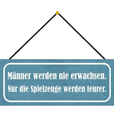 Schatzmix män aldrig uppvaktad metallskylt 27 x 10 cm deko tenn skylt med snöre plåtskylt, blad, flerfärgad Schatzmix män aldrig uppvaktad metallskylt 27 x 10 cm deko tenn skylt med snöre plåtskylt, blad, flerfärgad