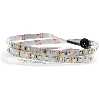 VoltShine LED-remsa 24 V DC SMD2835 IP20 120 LED/m 5 meter 3 000 K inomhus dekorativ och omgivande belysning. VoltShine LED-remsa 24 V DC SMD2835 IP20 120 LED/m 5 meter 3 000 K inomhus dekorativ och omgivande belysning.