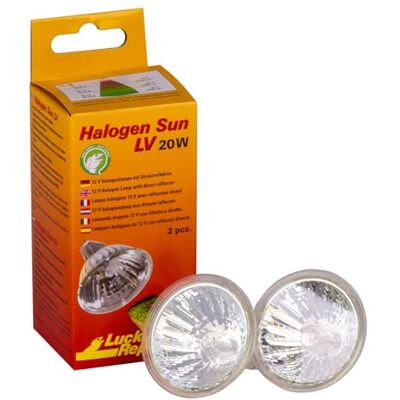 Lucky Reptile Halogen Sun LV Wärmestrahler 20W sol-ljus-lampa för G5.3-sockel speciell reflektorform lampa med bra ljus- & värmeutbyte i ljusfokus belysning för reptiler Lucky Reptile Halogen Sun LV Wärmestrahler 20W sol-ljus-lampa för G5.3-sockel speciell reflektorform lampa med bra ljus- & värmeutbyte i ljusfokus belysning för reptiler