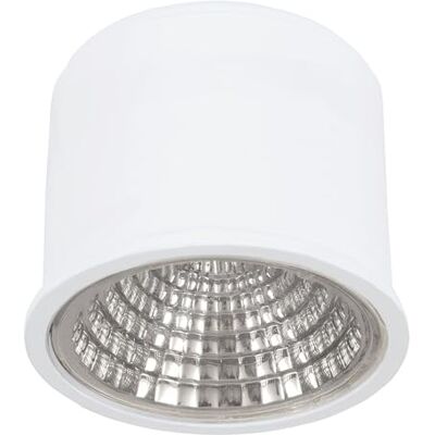 EGLO Puck Cob Ww LED-lampa för infälld strålkastare med litet installationsdjup, dimbar takspotlight, neutralvitt ljus, 5 cm i diameter EGLO Puck Cob Ww LED-lampa för infälld strålkastare med litet installationsdjup, dimbar takspotlight, neutralvitt ljus, 5 cm i diameter