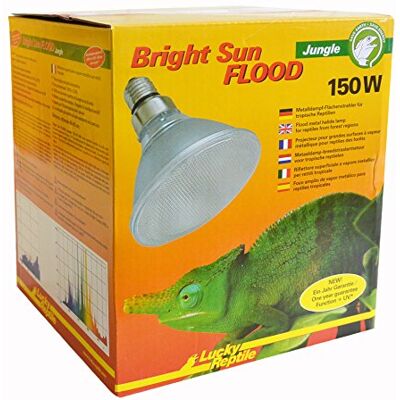 Lucky Reptile Bright Sun Flood Jungle 150 W metallhalogenlampa för E27-socklar terrariumlampa med dagsljusspektrum värmelampa med UVA- och UVB-strålning UV-lampa för tropiska reptiler Lucky Reptile Bright Sun Flood Jungle 150 W metallhalogenlampa för E27-socklar terrariumlampa med dagsljusspektrum värmelampa med UVA- och UVB-strålning UV-lampa för tropiska reptiler