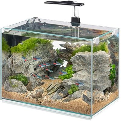 Hydor 34 liters akvarium med dimbar LED-lampa, 3 lägen (dag, natt och blandad), tyst innerfilter och uppvärmning, glas akvarium 40 x 40 x 60 cm. Glas Hydor 34 liters akvarium med dimbar LED-lampa, 3 lägen (dag, natt och blandad), tyst innerfilter och uppvärmning, glas akvarium 40 x 40 x 60 cm. Glas