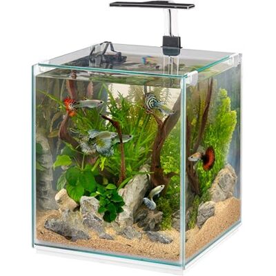 Hydor 30 liters akvarium med dimbar LED-lampa, 3 lägen (dag, natt och blandad), tyst innerfilter och uppvärmning, glasakvarium 30 x 30 x 50 cm, av glas Hydor 30 liters akvarium med dimbar LED-lampa, 3 lägen (dag, natt och blandad), tyst innerfilter och uppvärmning, glasakvarium 30 x 30 x 50 cm, av glas