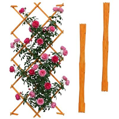Relaxdays Utdragbart spaljé, set om 3, 180 x 120 cm, trä, väggmontering, klättringshjälp, klätterväxter, trägaller, orange Relaxdays Utdragbart spaljé, set om 3, 180 x 120 cm, trä, väggmontering, klättringshjälp, klätterväxter, trägaller, orange