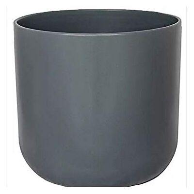 Ivyline Lissabonplanter ljusgrå D 13,5 cm Ivyline Lissabonplanter ljusgrå D 13,5 cm