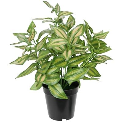 Flair Flower Konstgjord växt Tradescantia med kruka, dekoration, grön växt, inomhusväxt, klätterväxt, murgröna, murgröna, konstgjord tradescantiahängare, murgröna, silkesblommor, skalllans, sidenväxt, konstgjord Flair Flower Konstgjord växt Tradescantia med kruka, dekoration, grön växt, inomhusväxt, klätterväxt, murgröna, murgröna, konstgjord tradescantiahängare, murgröna, silkesblommor, skalllans, sidenväxt, konstgjord