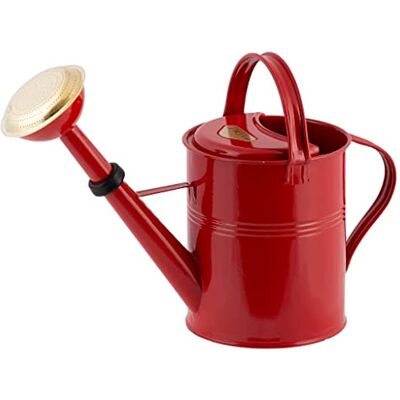 PLINT 5L Watering Can Modern Style Watering Pot for Indoor and Outdoor House Plants Coloured Galvanised Powder Coated Steel Metal Design With Narrow Spout And High Handle (Red) PLINT 5L Watering Can Modern Style Watering Pot for Indoor and Outdoor House Plants Coloured Galvanised Powder Coated Steel Metal Design With Narrow Spout And High Handle (Red)