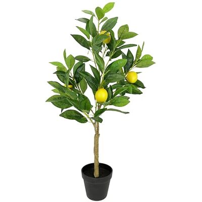 Flair Flower Citronträd i kruka, konstgjord växt, dekoration, fruktträd, krukväxt, citrusväxt, citronkvig, citron frukter, växt, konstträd, konstgjorda växter, inomhusväxter, dekor, vardagsrum, kök, kontor, Flair Flower Citronträd i kruka, konstgjord växt, dekoration, fruktträd, krukväxt, citrusväxt, citronkvig, citron frukter, växt, konstträd, konstgjorda växter, inomhusväxter, dekor, vardagsrum, kök, kontor,