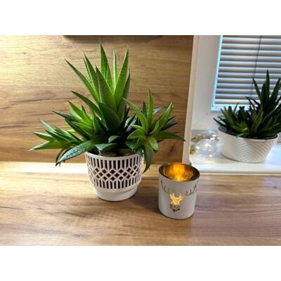 Kimmel 3 stycken ytterkrukor Ø 13 cm klassisk blomma ytterkruka suckulent kruka kaktuskruka blomkruka blomkruka orkidékruka inomhusväxter dekoration kruka, DDR-design av plast, färg vit Kimmel 3 stycken ytterkrukor Ø 13 cm klassisk blomma ytterkruka suckulent kruka kaktuskruka blomkruka blomkruka orkidékruka inomhusväxter dekoration kruka, DDR-design av plast, färg vit