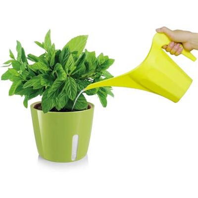 Zendea Grön rund växtkruka 11 x 13,5 cm med transparent sida för vattenkontroll perfekt för odling av små växter, blommor och aromatiska örter i terrassen eller trädgården hållbar Zendea Grön rund växtkruka 11 x 13,5 cm med transparent sida för vattenkontroll perfekt för odling av små växter, blommor och aromatiska örter i terrassen eller trädgården hållbar