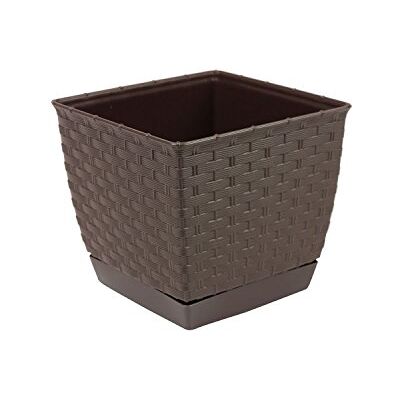 Prosperplast Prosper Plast drlk165–440U 16,5 x 16,5 x 14,2 cm "ratolla" fyrkantig blomkruka – mörkbrun (12 delar) Prosperplast Prosper Plast drlk165–440U 16,5 x 16,5 x 14,2 cm "ratolla" fyrkantig blomkruka – mörkbrun (12 delar)