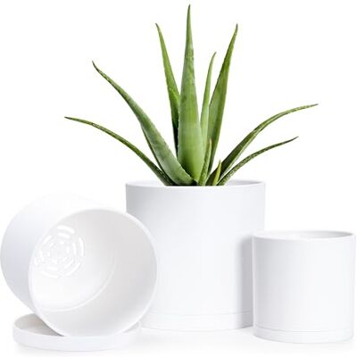 D'vine Dev 4 Inch 5 Inch 6 Inch, Set of 3 Plastic Planter Pots for Plants with Drainage Hole and Seamless Saucers, White Color, Small, 74-V-A-1 D'vine Dev 4 Inch 5 Inch 6 Inch, Set of 3 Plastic Planter Pots for Plants with Drainage Hole and Seamless Saucers, White Color, Small, 74-V-A-1