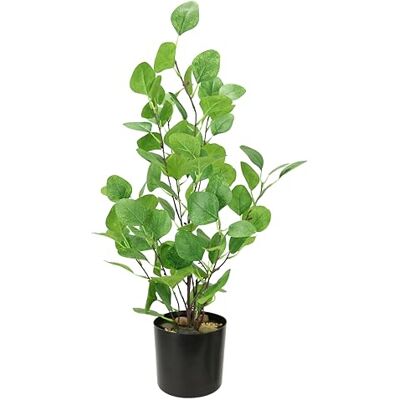 Flair Flower Konstgjord eukalyptusväxt i kruka, eukalyptusträd, eukalyptusväxt, konstgjorda växter, konstträd, dekorativt träd, plastväxter, silverdollarblad, dekoration, bröllopsdekoration, buske, kontorsväxt, Flair Flower Konstgjord eukalyptusväxt i kruka, eukalyptusträd, eukalyptusväxt, konstgjorda växter, konstträd, dekorativt träd, plastväxter, silverdollarblad, dekoration, bröllopsdekoration, buske, kontorsväxt,