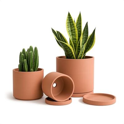 D'vine Dev Terracotta krukor för växter, 10 cm 14 cm 14 cm, suckulent planteringskruka med dränering och fat, 40-A-T-1 D'vine Dev Terracotta krukor för växter, 10 cm 14 cm 14 cm, suckulent planteringskruka med dränering och fat, 40-A-T-1