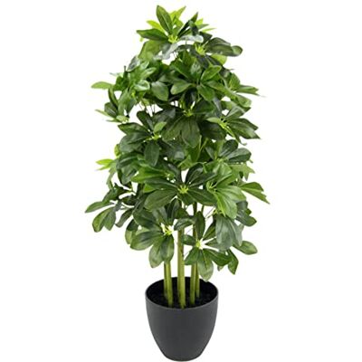 Flair Flower Konstgjord växt Schefflera i kruka av plast äkta touch konstgjord växt inomhusväxt dehead lance grön växt silkesblomma kontorsväxt skraplingväxt arali konstträd stråle aral Flair Flower Konstgjord växt Schefflera i kruka av plast äkta touch konstgjord växt inomhusväxt dehead lance grön växt silkesblomma kontorsväxt skraplingväxt arali konstträd stråle aral