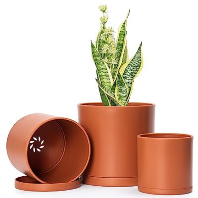 D'vine Dev Uppsättning av 3 minimalistiska små 4 tum 5 tum 15 cm cylinder plastplanterare krukor med dräneringshål och sömlösa tefat, terrakottafärg D'vine Dev Uppsättning av 3 minimalistiska små 4 tum 5 tum 15 cm cylinder plastplanterare krukor med dräneringshål och sömlösa tefat, terrakottafärg