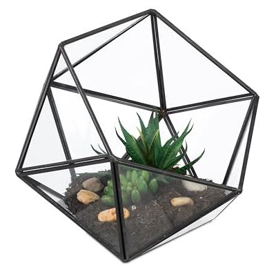Relaxdays Växtterrarium, glas och tenn, dekorativt glashus för kaktusar och mossa, öppen glaslåda för fönsterbräda, svart Relaxdays Växtterrarium, glas och tenn, dekorativt glashus för kaktusar och mossa, öppen glaslåda för fönsterbräda, svart