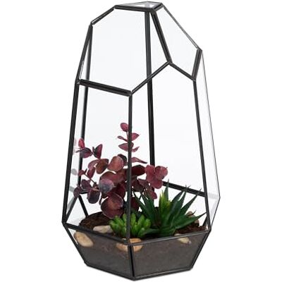 Relaxdays Växtterrarium, glas och tenn, dekorativt glashus för kaktusar och mossa, öppen glaslåda för fönsterbräda, svart Relaxdays Växtterrarium, glas och tenn, dekorativt glashus för kaktusar och mossa, öppen glaslåda för fönsterbräda, svart