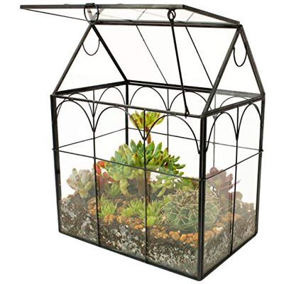 ELEGANTLIFE Geometriskt glasterrarium för suckulenter och luftväxter (ingen växt ingår) ELEGANTLIFE Geometriskt glasterrarium för suckulenter och luftväxter (ingen växt ingår)