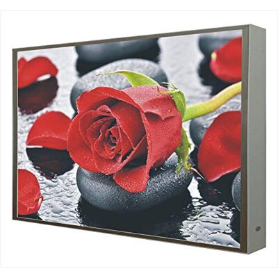 CCRETROILUMINADOS Bild med vit lackerad träram upplyst med ljus Zen Rosa Lysdioder CCRETROILUMINADOS Bild med vit lackerad träram upplyst med ljus Zen Rosa Lysdioder