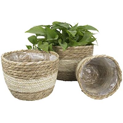 La Jolíe Muse sjögräs planteringskärl korg inomhus, blomkrukor skydd, växtbehållare, naturlig beige (3-pack) 26 22 16 cm La Jolíe Muse sjögräs planteringskärl korg inomhus, blomkrukor skydd, växtbehållare, naturlig beige (3-pack) 26 22 16 cm