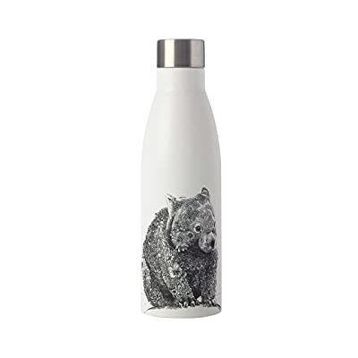 Maxwell & Williams Marini Ferlazzo Isolerad Vattenflaska med Djurtryck, Vombat, Rostfritt Stål, Vit, 500 ml, JR0014 Maxwell & Williams Marini Ferlazzo Isolerad Vattenflaska med Djurtryck, Vombat, Rostfritt Stål, Vit, 500 ml, JR0014