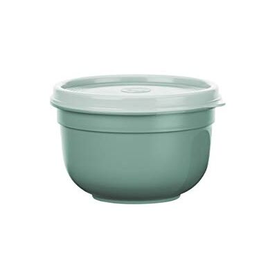 EMSA N10806 Superline matförvaringsburk Skål: plast (PP) pudergrön 13,5 x 13,5 x 8,8 cm, 0,6 L EMSA N10806 Superline matförvaringsburk Skål: plast (PP) pudergrön 13,5 x 13,5 x 8,8 cm, 0,6 L
