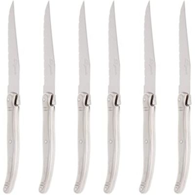Pradel Excellence , Pcox005061, Les Silver, set med 6 knivar i rostfritt stål färglåda Pradel Excellence , Pcox005061, Les Silver, set med 6 knivar i rostfritt stål färglåda